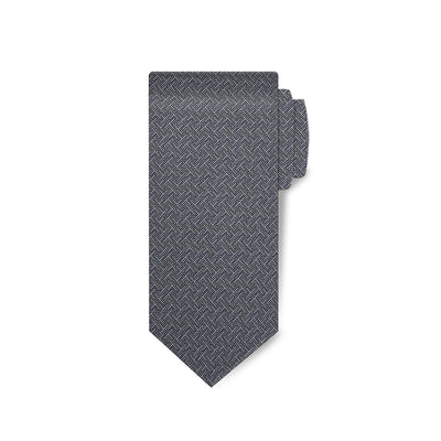 Titanium Mens Printed Chroma Collection Tie